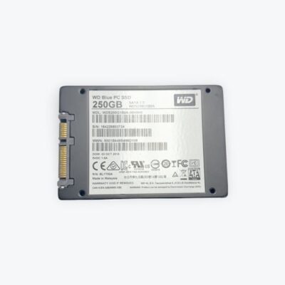 Hard Drive - Western Digital Blue PC SSD - 250GB